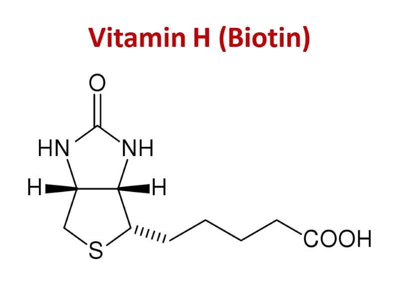 Vitamin H (Biotin)